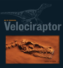 Laden Sie das Bild in den Galerie-Viewer, Zeitalter der Dinosaurier: Velociraptor
