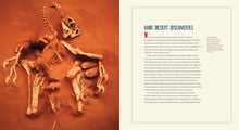 Laden Sie das Bild in den Galerie-Viewer, Zeitalter der Dinosaurier: Velociraptor

