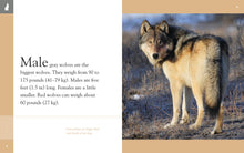 Laden Sie das Bild in den Galerie-Viewer, Amazing Animals (2014): Wölfe
