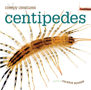 Creepy Creatures: Centipedes