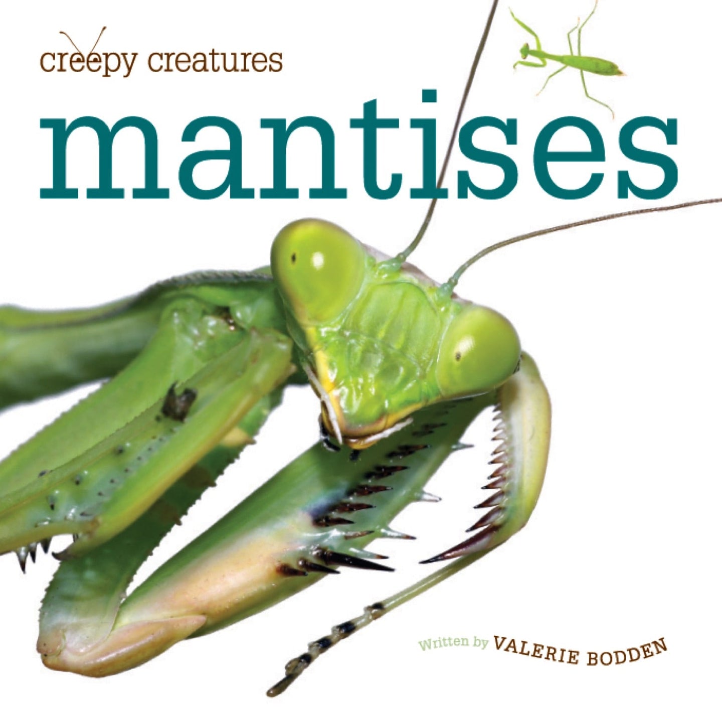 Creepy Creatures: Mantises