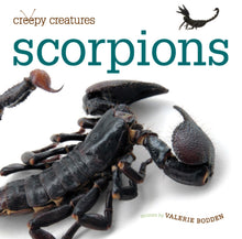 Laden Sie das Bild in den Galerie-Viewer, Gruselige Kreaturen: Skorpione
