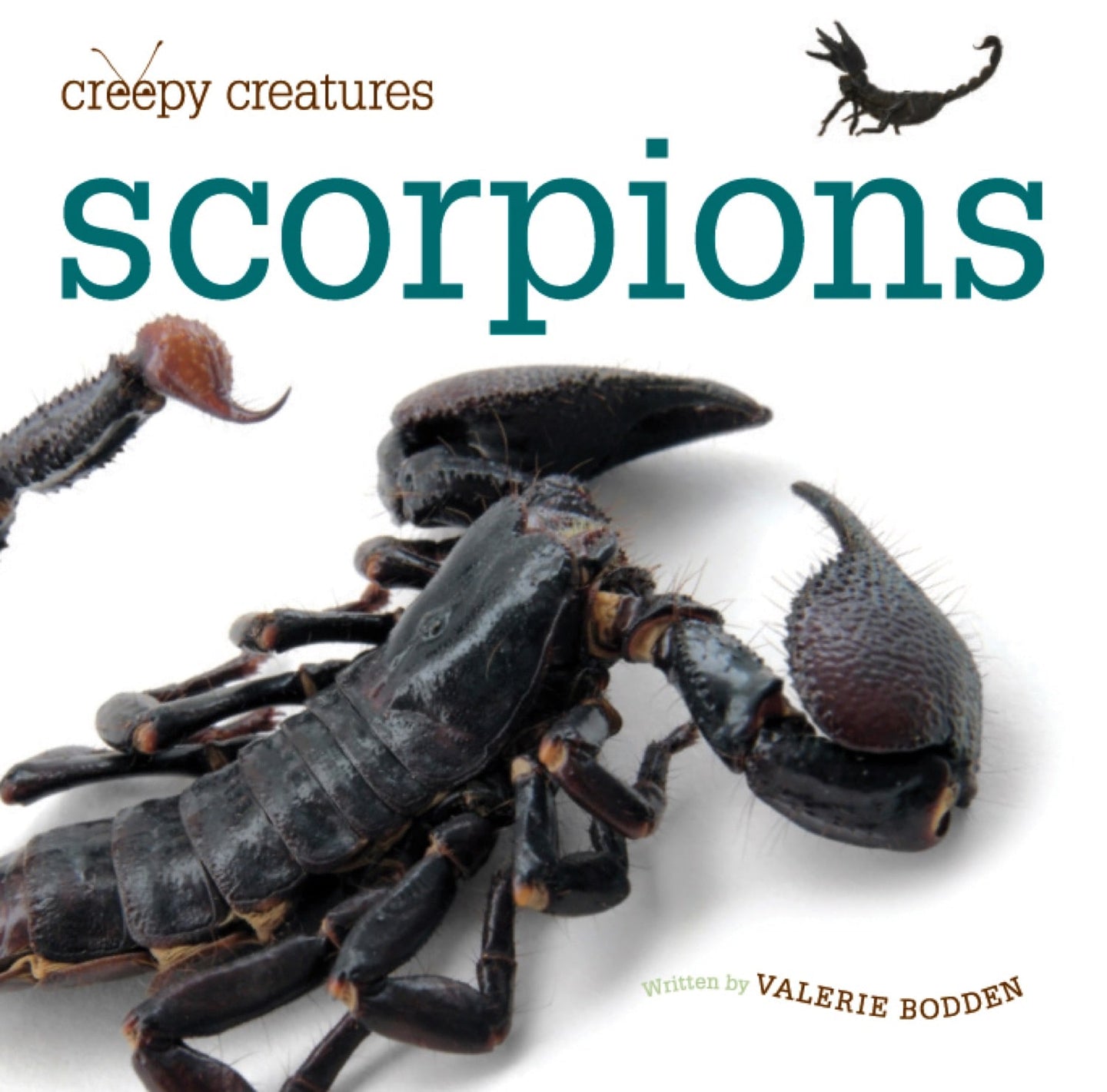 Creepy Creatures: Scorpions