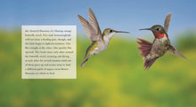 Laden Sie das Bild in den Galerie-Viewer, Living Wild - Classic Edition: Kolibris

