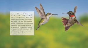 Living Wild - Classic Edition: Hummingbirds