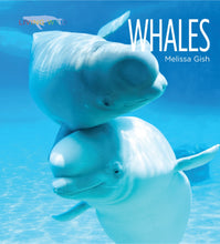 Laden Sie das Bild in den Galerie-Viewer, Living Wild - Classic Edition: Wale

