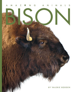 Amazing Animals (2014): Bison