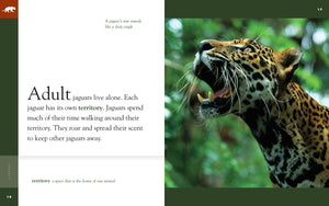 Amazing Animals (2014): Jaguars