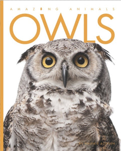 Amazing Animals (2014): Owls