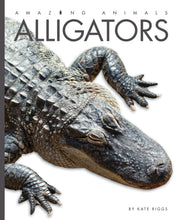 Laden Sie das Bild in den Galerie-Viewer, Amazing Animals (2014): Alligatoren
