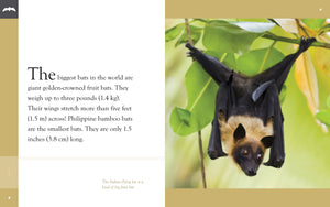 Amazing Animals (2014): Bats