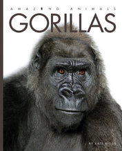 Laden Sie das Bild in den Galerie-Viewer, Amazing Animals (2014): Gorillas
