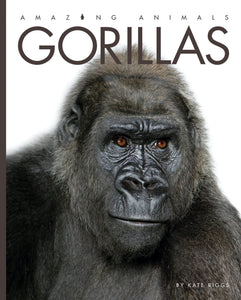 Amazing Animals (2014): Gorillas