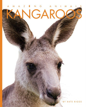 Laden Sie das Bild in den Galerie-Viewer, Amazing Animals (2014): Kängurus
