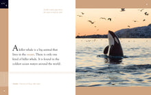 Laden Sie das Bild in den Galerie-Viewer, Amazing Animals (2014): Killerwale
