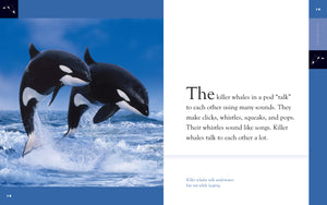 Amazing Animals (2014): Killer Whales