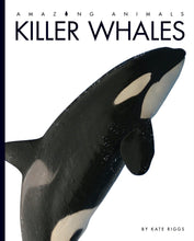 Laden Sie das Bild in den Galerie-Viewer, Amazing Animals (2014): Killerwale
