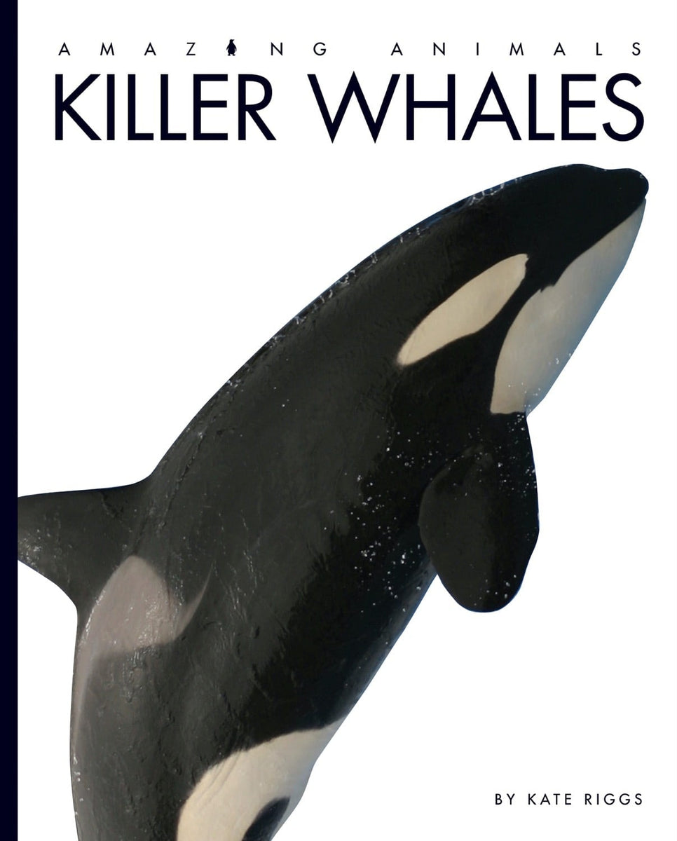 Killer Whale 完成品 Killer Whale 完成品