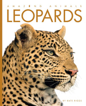 Laden Sie das Bild in den Galerie-Viewer, Amazing Animals (2014): Leoparden

