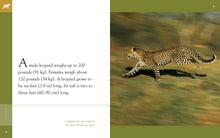 Laden Sie das Bild in den Galerie-Viewer, Amazing Animals (2014): Leoparden
