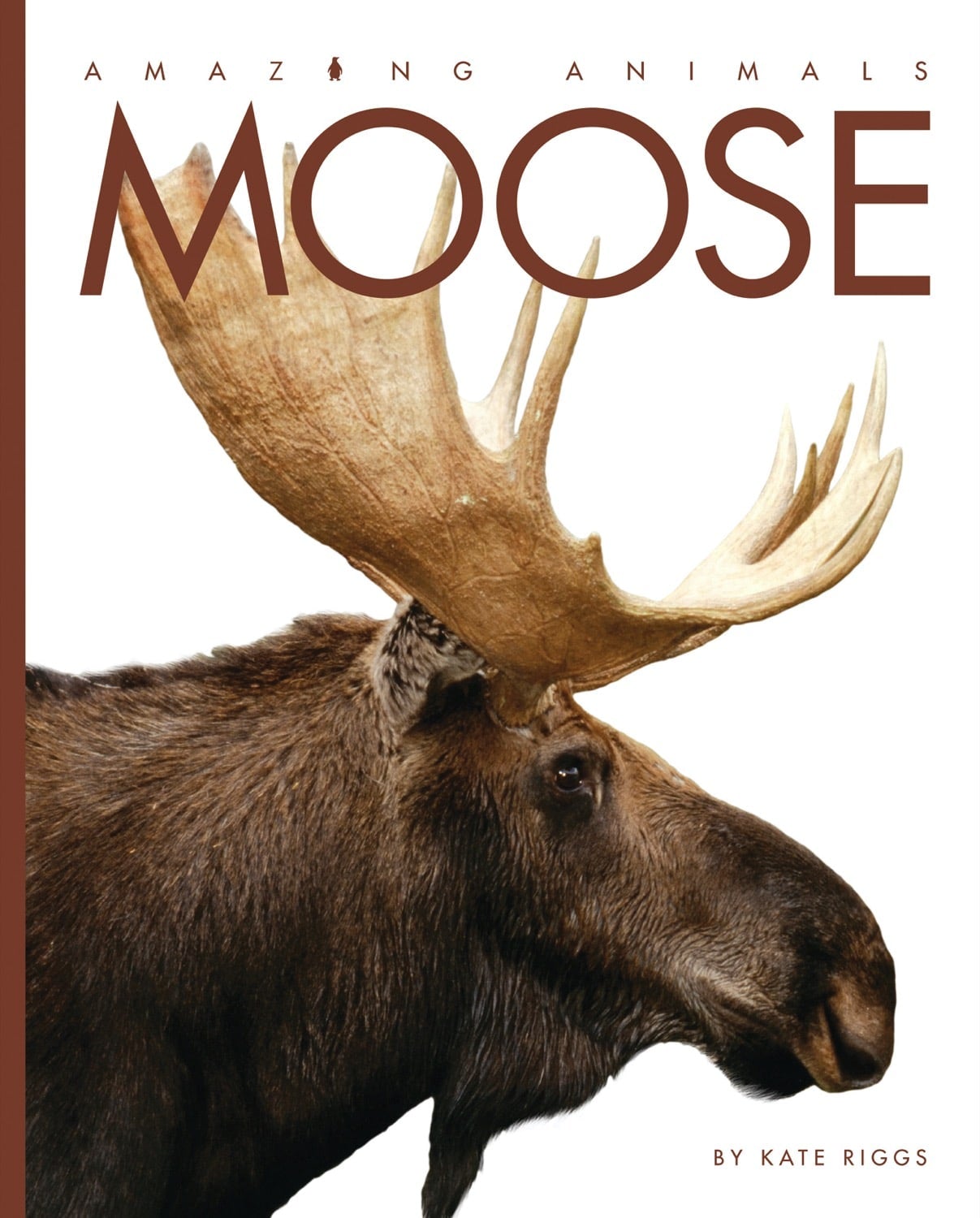 Amazing Animals (2014): Moose