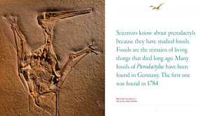 When Dinosaurs Lived: Pterodactyls