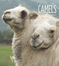 Laden Sie das Bild in den Galerie-Viewer, Living Wild - Classic Edition: Kamele
