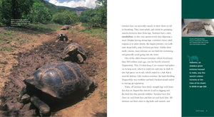 Living Wild - Classic Edition: Schildkröten