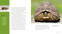 Laden Sie das Bild in den Galerie-Viewer, Living Wild - Classic Edition: Schildkröten
