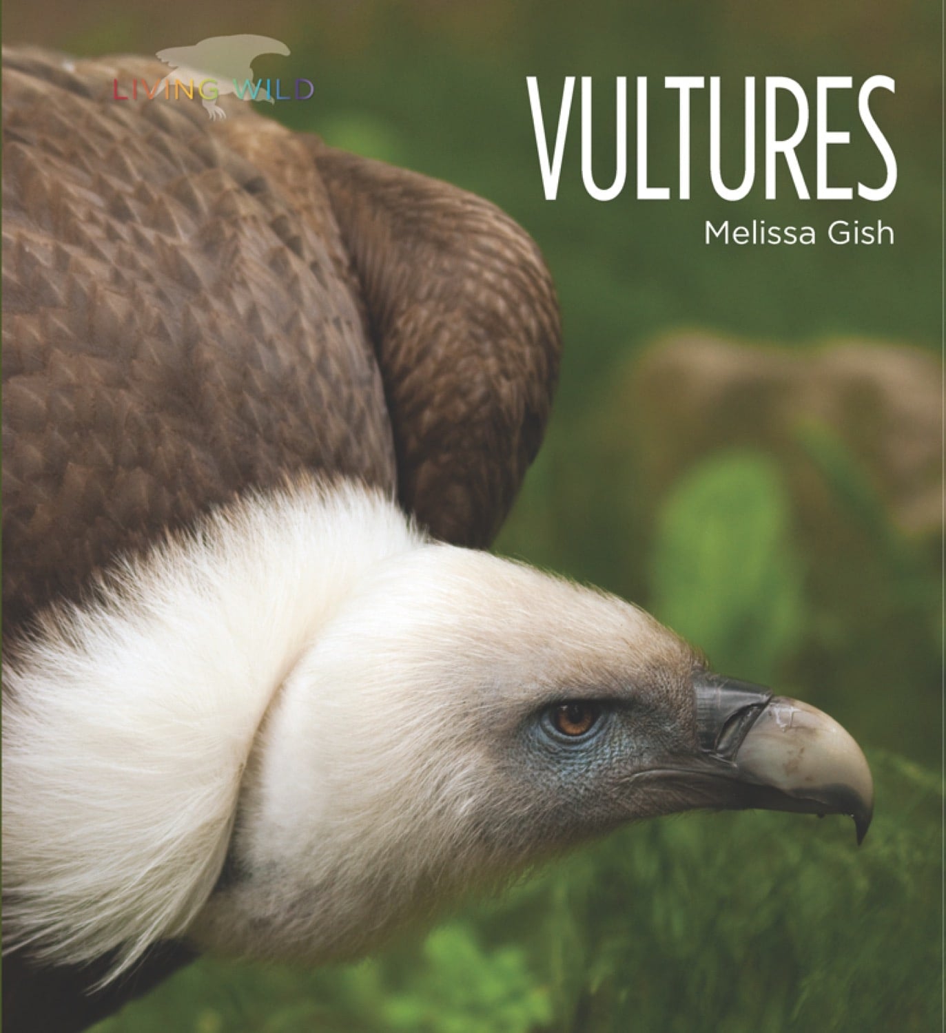 Living Wild (2024): Vultures