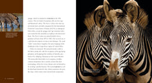 Laden Sie das Bild in den Galerie-Viewer, Living Wild - Classic Edition: Zebras
