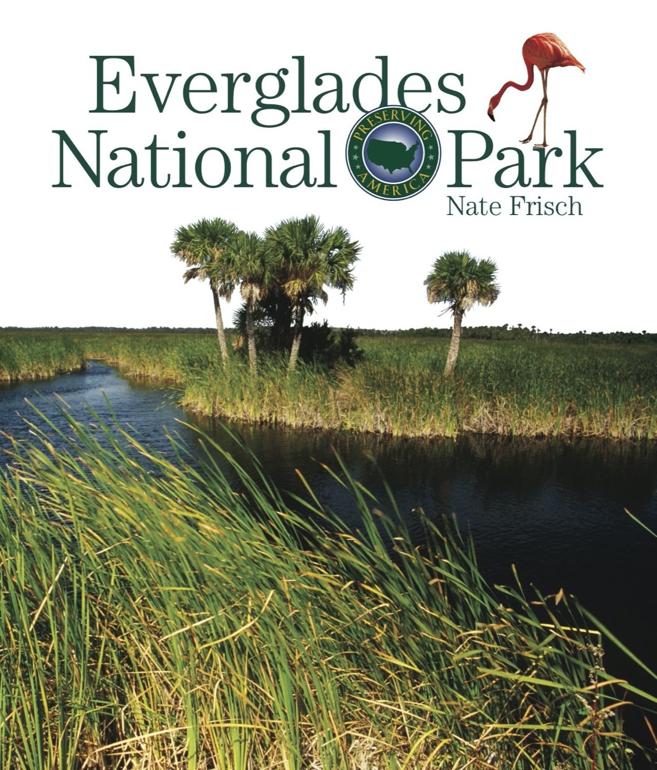 Amerika bewahren: Everglades-Nationalpark