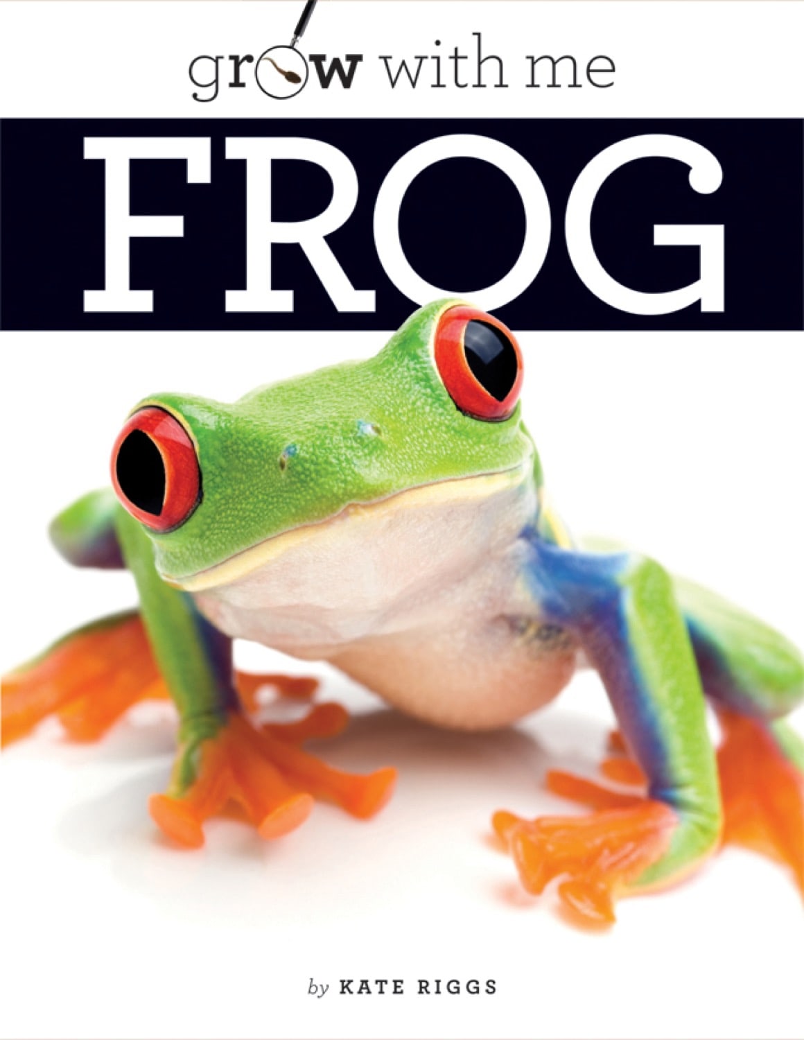 Frogs Grow - Kaleidoscope Collection - Hameray Publishing