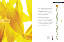 Laden Sie das Bild in den Galerie-Viewer, Wachse mit mir: Sonnenblume
