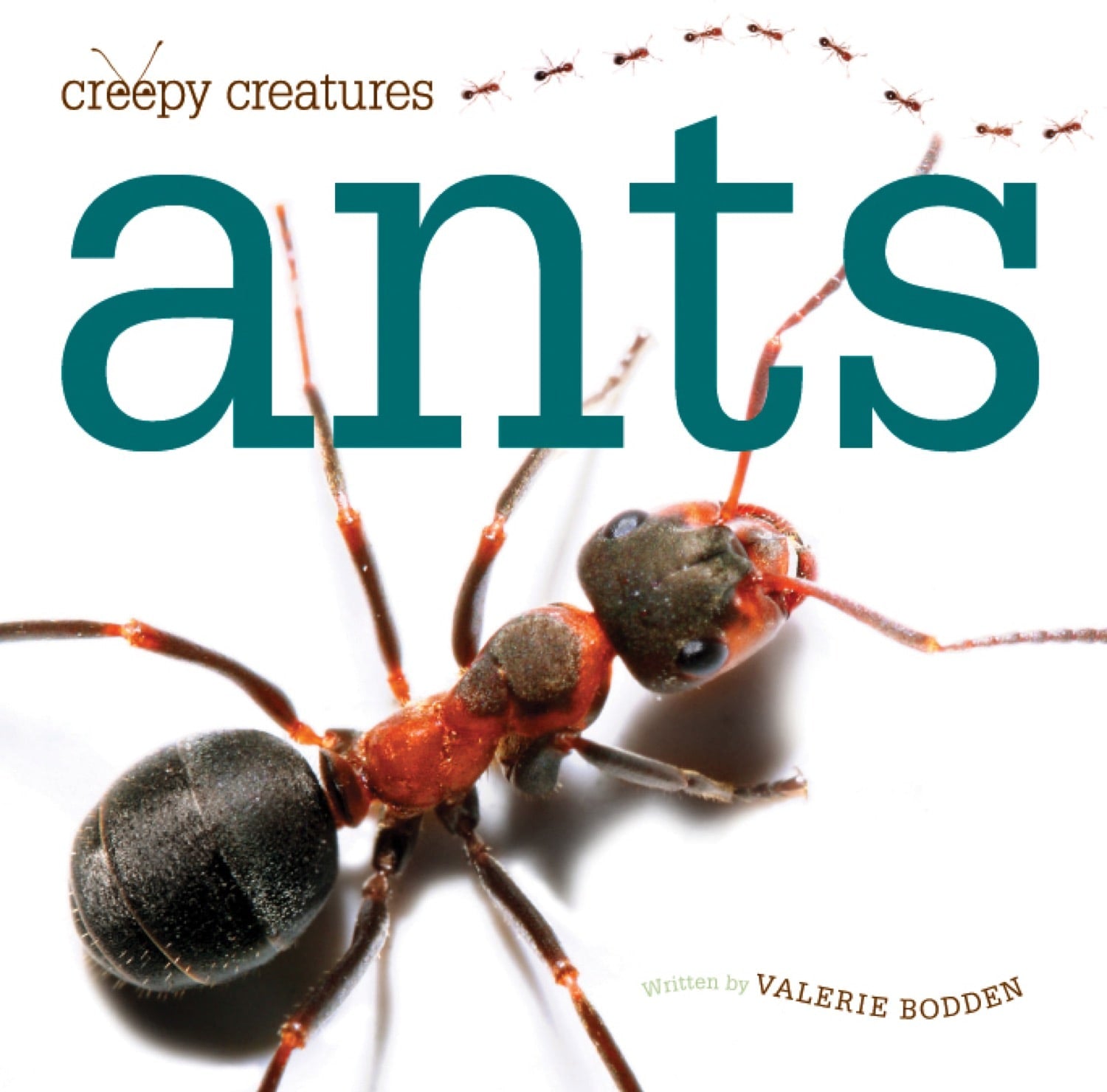 Ants  A Book of Creatures