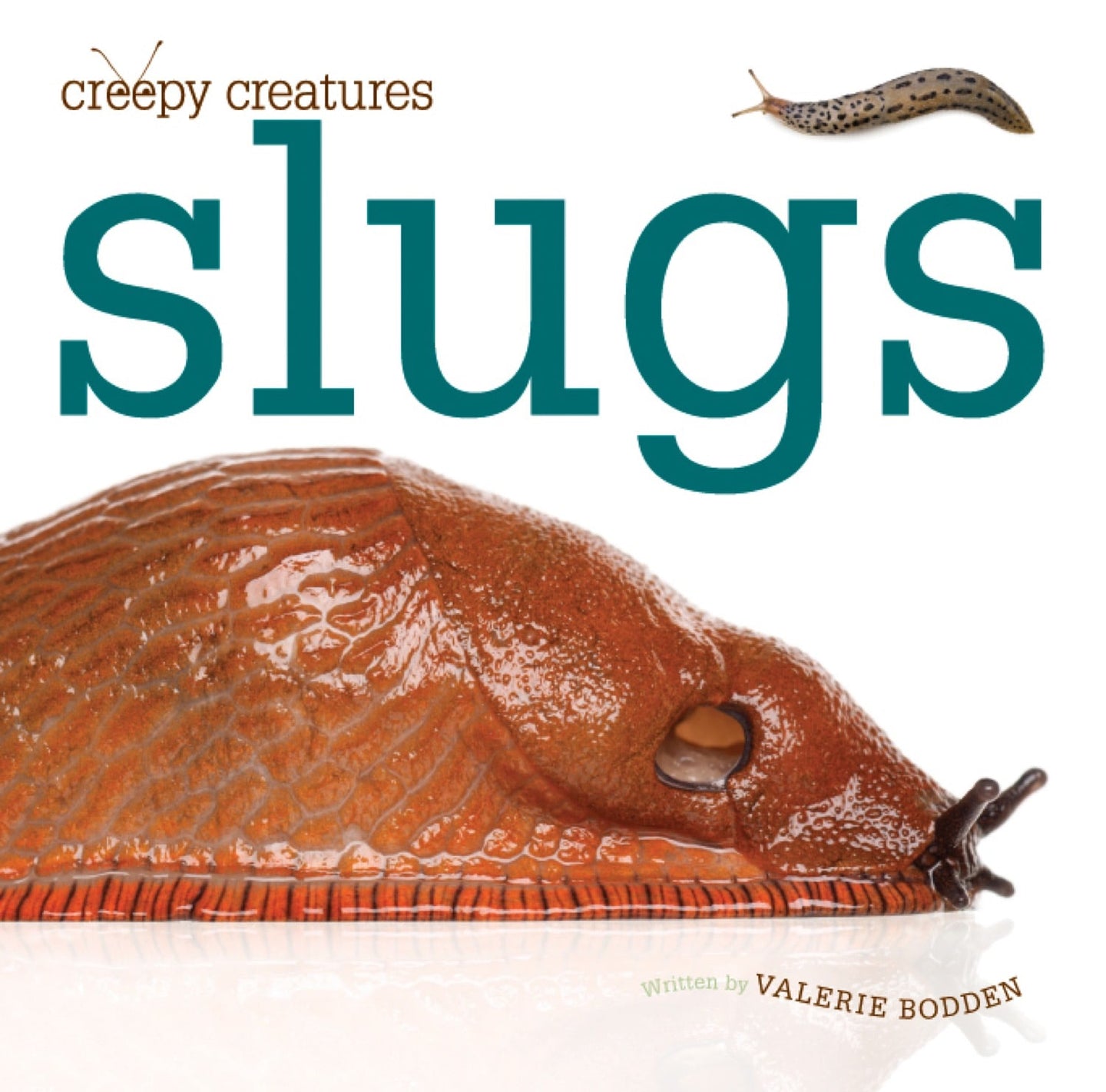 Creepy Creatures: Slugs