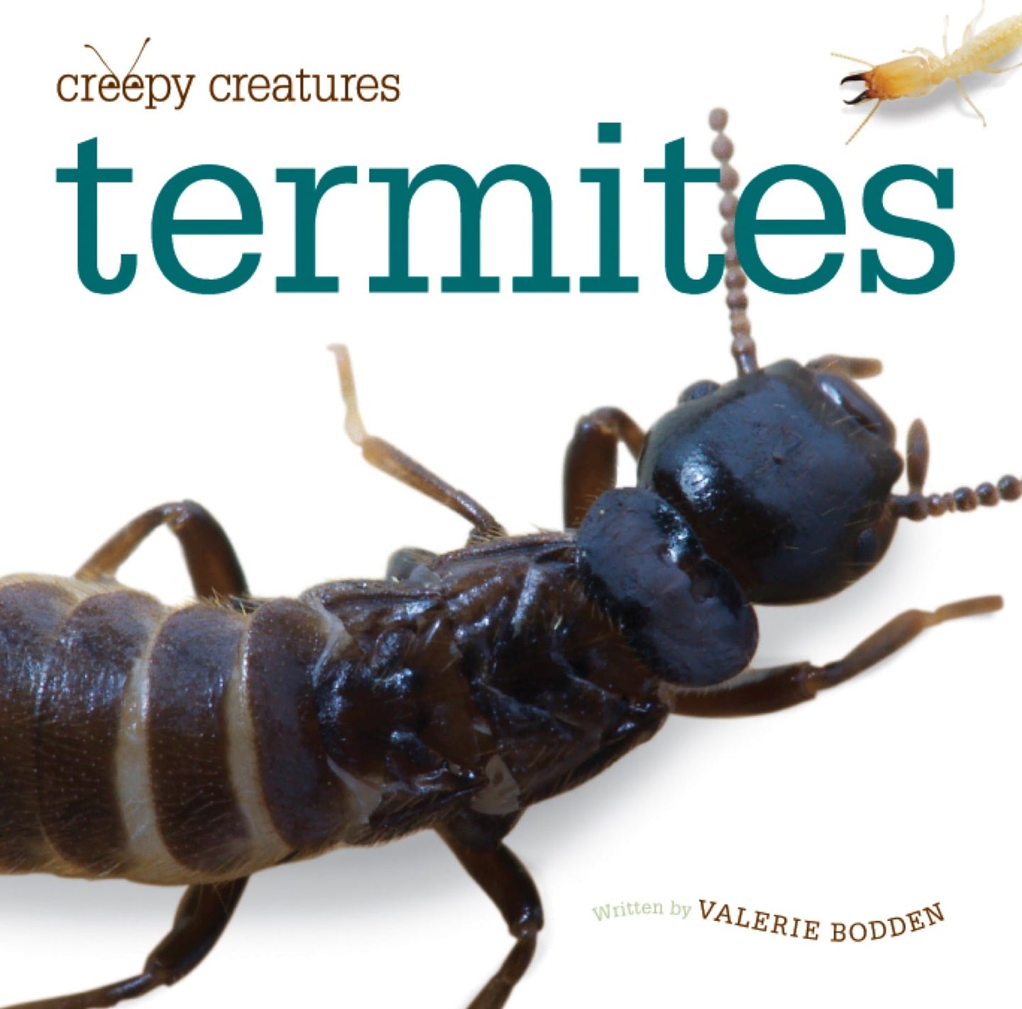 Gruselige Kreaturen: Termiten