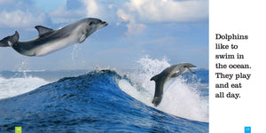 Sämlinge: Delfine