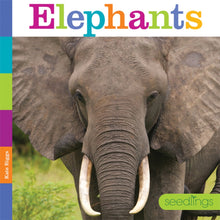 Laden Sie das Bild in den Galerie-Viewer, Sämlinge: Elefanten
