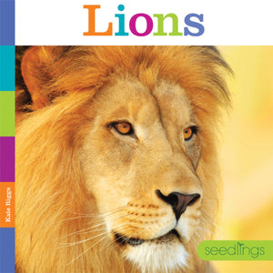 Seedlings: Lions