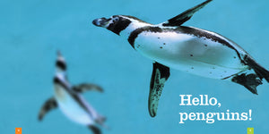 Sämlinge: Pinguine
