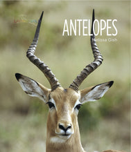 Laden Sie das Bild in den Galerie-Viewer, Living Wild - Classic Edition: Antilopen
