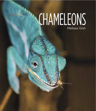 Laden Sie das Bild in den Galerie-Viewer, Living Wild - Classic Edition: Chamäleons
