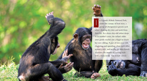 Living Wild - Classic Edition: Chimpanzees