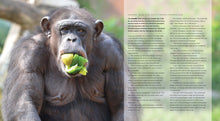 Laden Sie das Bild in den Galerie-Viewer, Living Wild - Classic Edition: Schimpansen
