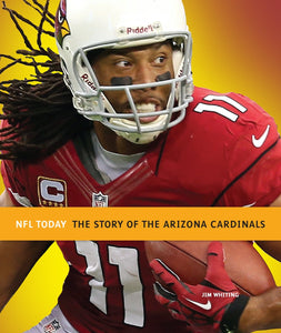 NFL Today: Die Geschichte der Arizona Cardinals