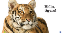 Laden Sie das Bild in den Galerie-Viewer, Sämlinge: Tiger
