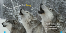 Laden Sie das Bild in den Galerie-Viewer, Sämlinge: Wölfe
