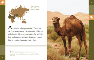 Amazing Animals (2014): Kamele