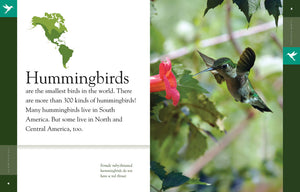 Amazing Animals (2014): Hummingbirds